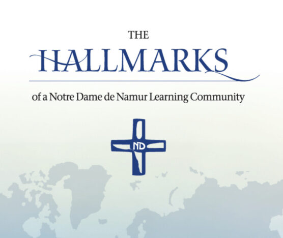 hallmarks hero