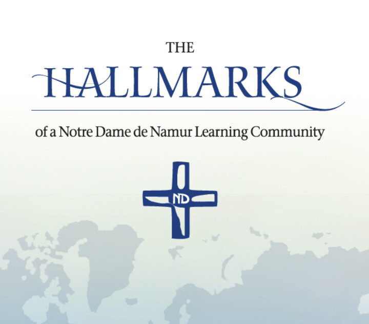 hallmarks hero